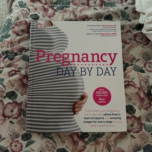 Pregnancy Day By Day: An Illustrated Daily Countdown to Motherhood - Picture 2 of 5